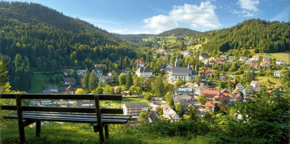 Hotel am Kurpark - Feldberg