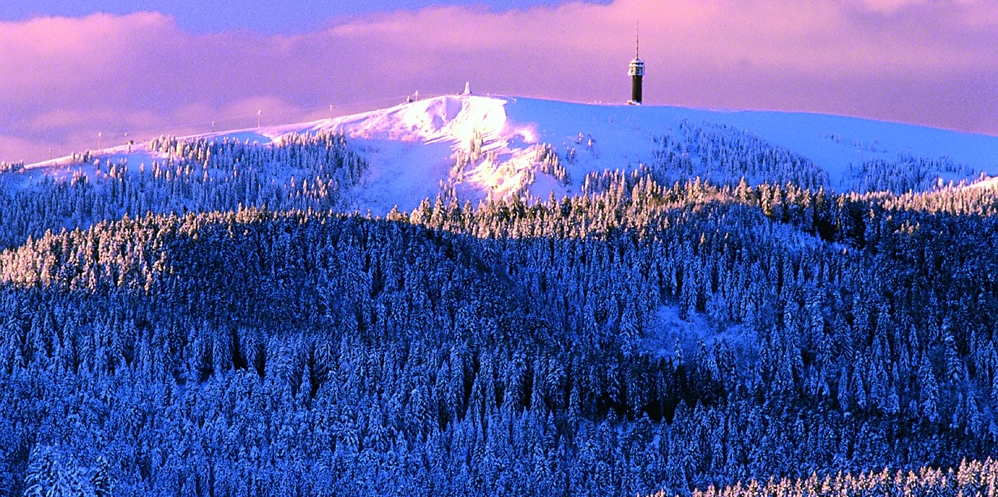 Hotel am Kurpark - Feldberg